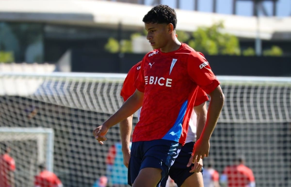 está "desaparecido" en la precordillera este 2026. Foto: Comunicaciones Cruzados.