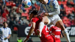 Peleó el descenso y puede volver a la U como refuerzo: dependerá del próximo DT de los azules