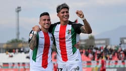 Lo buscan desde Perú: Palestino podría perder a uno de sus grandes goleadores para 2026