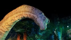 ¡Ya llegaron a Chile! Todo lo que debes saber para visitar Jurassic World The Experience en Santiago