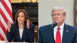 Elecciones 2024 en Estados Unidos: ¿Qué pasa si hay empate entre Kamala Harris y Donald Trump?