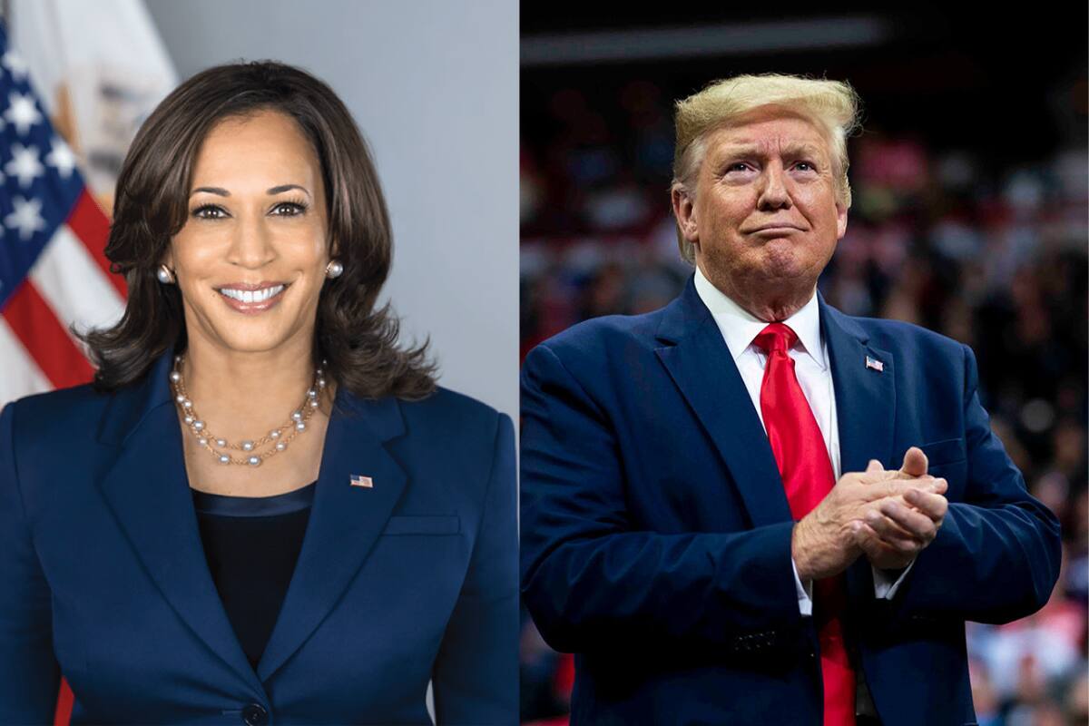 ¿Por cuál de los candidatos votarán los famosos?