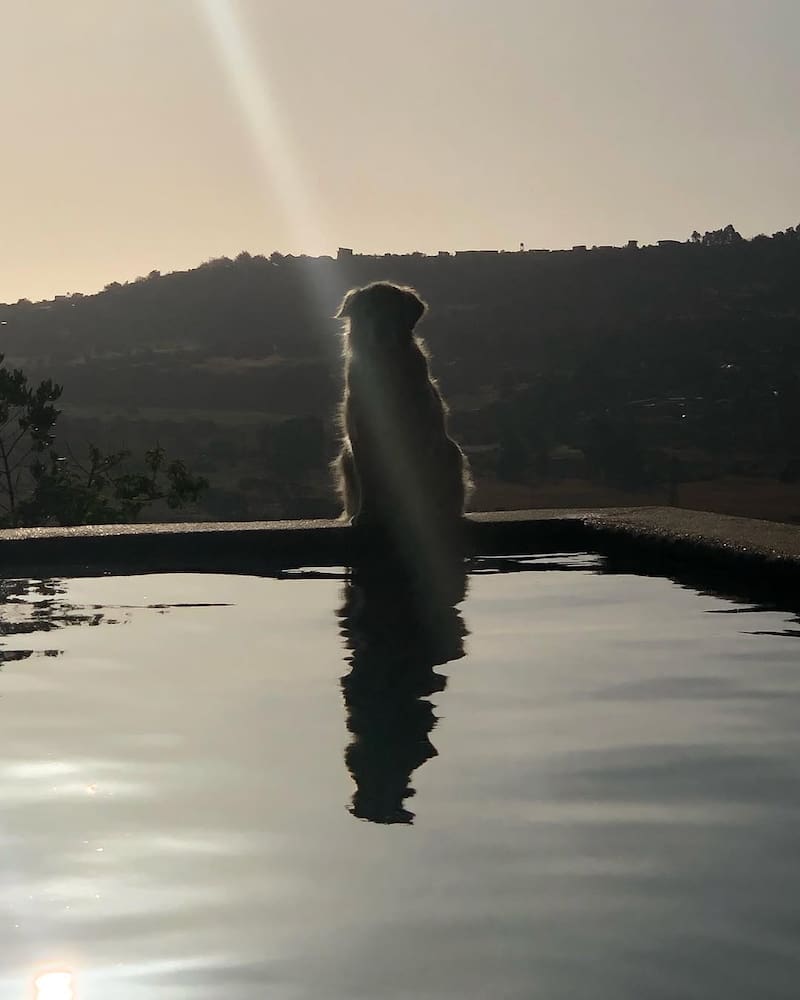 Aquí se le ve de forma íntima sentada hacia el horizonte.