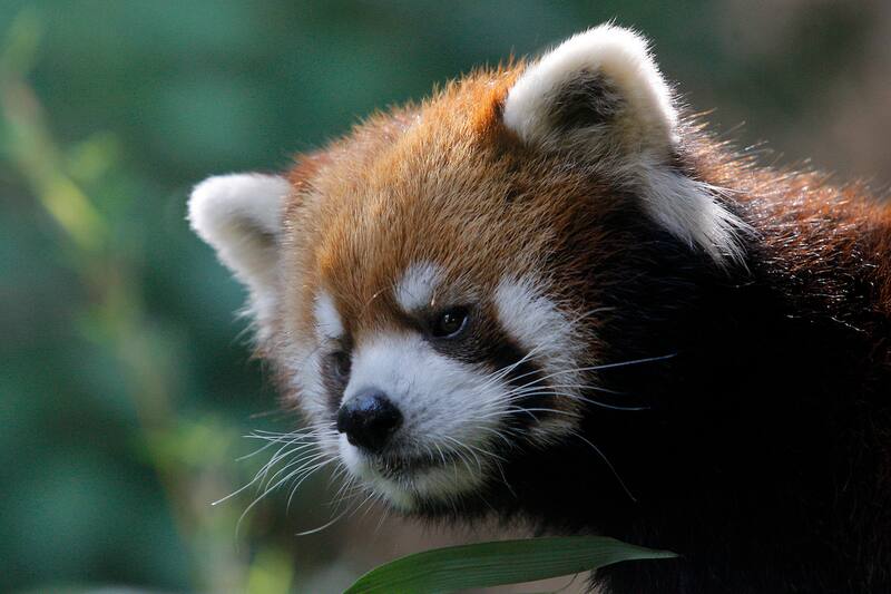 Murió tras una larga enfermedad.