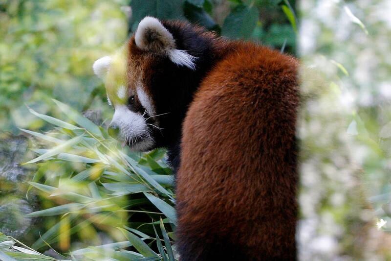 Murió por problemas cardiacos.