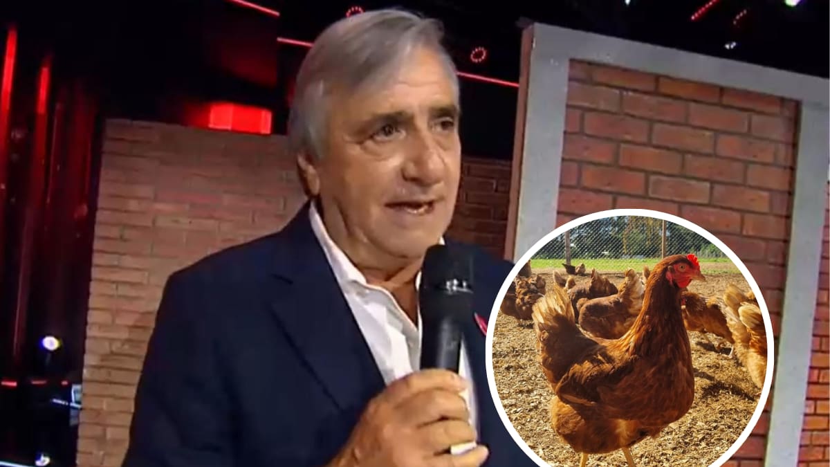 3.700 gallinas y 40 hectáreas de frambuesas: La impresionante apuesta agrícola de Kike Morandé