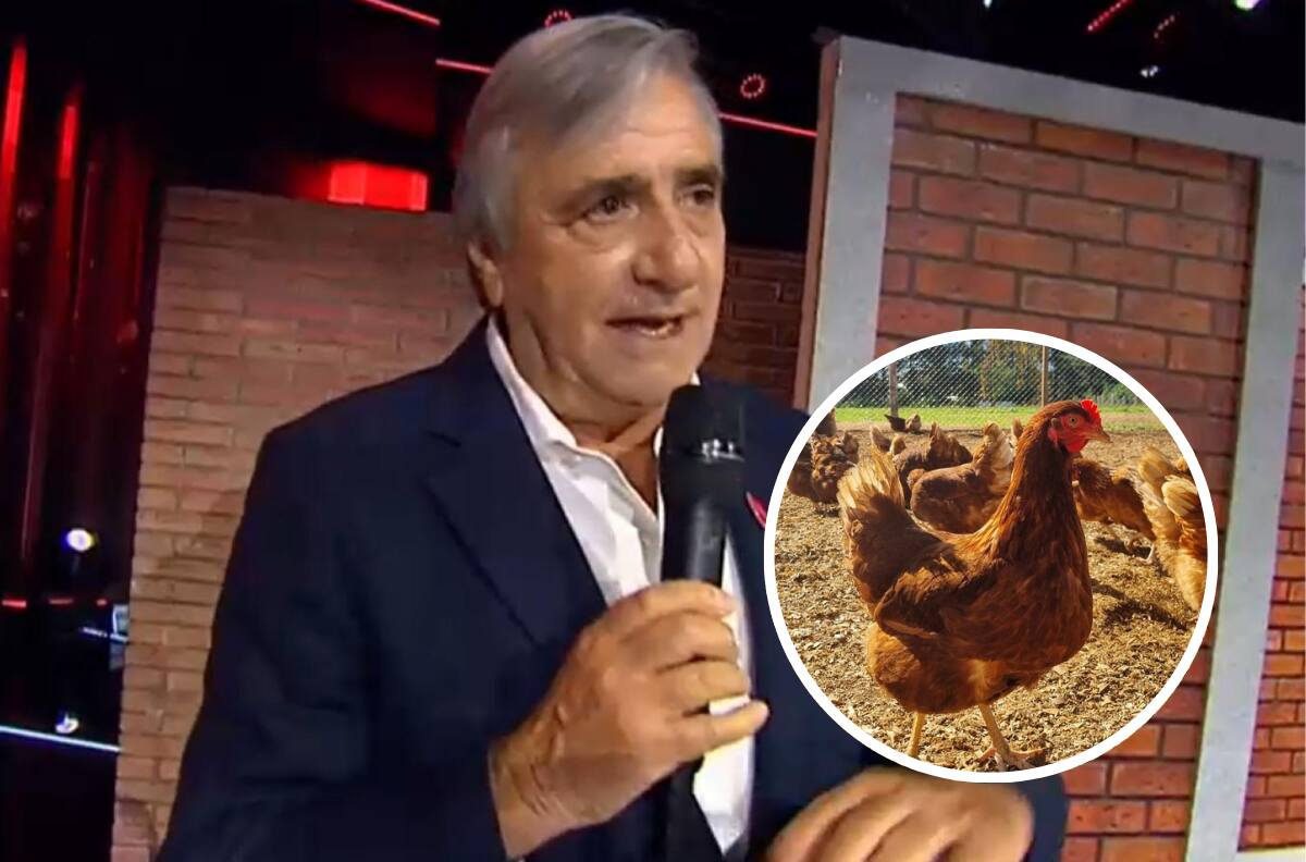 3.700 gallinas y 40 hectáreas de frambuesas: La impresionante apuesta agrícola de Kike Morandé