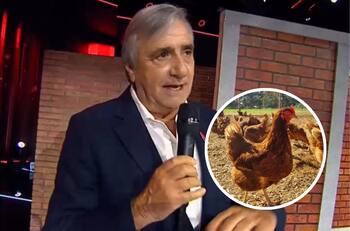 3.700 gallinas y 40 hectáreas de frambuesas: La impresionante apuesta agrícola de Kike Morandé