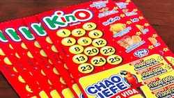 Resultados del sorteo 3140 del Kino: Estos todos los números ganadores