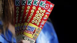 Resultados del Kino sorteo 3174: Revisa todos los números ganadores de este domingo 11 de enero