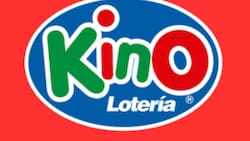 Resultados del Kino, sorteo 3127: Un jugador se llevó $1.500.000 en Premios al Número de Cartón