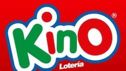 Resultados del Kino sorteo 3156: Revisa todos los números ganadores de este domingo 30 de noviembre
