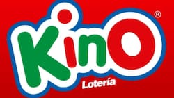 Resultados del Kino sorteo 3179: Tres personas ganaron $1.569.815 durante la noche de este viernes