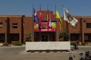 Terremoto en el fútbol chileno: Gobierno le da ultimátum a la ANFP por las casas de apuestas en línea