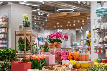 Reconocida empresa chilena abre tres nuevas sucursales: una está en la Región Metropolitana