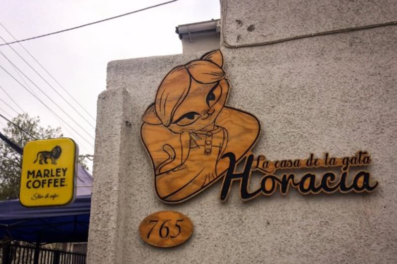 Este local cuenta con cafetería hasta pasteleria, y todo con la compañia de estos animales.
Foto: Tripadvisor.