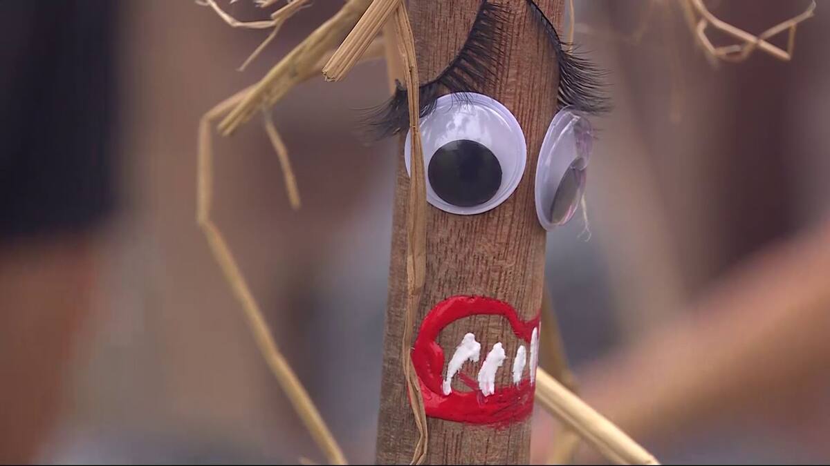 y su espantapájaros, segpun Pamela Díaz