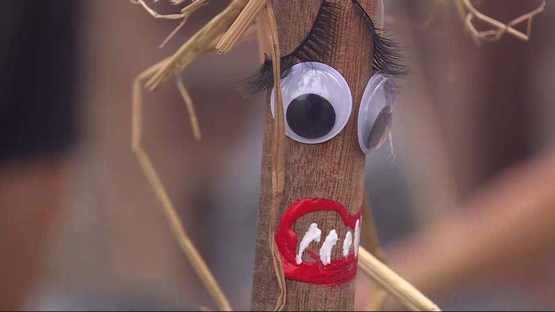 y su espantapájaros, segpun Pamela Díaz