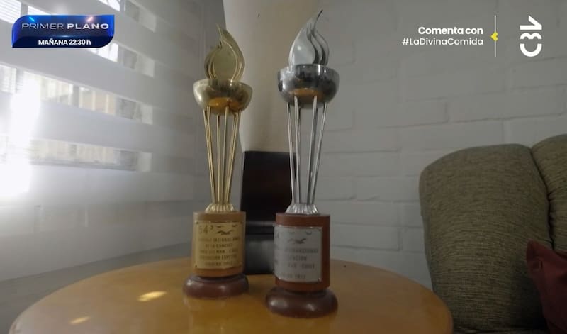 Memo Bunke participó en el Festival de Viña en el 2000, 2001, 2003 y 2013. Créditos: Captura CHV