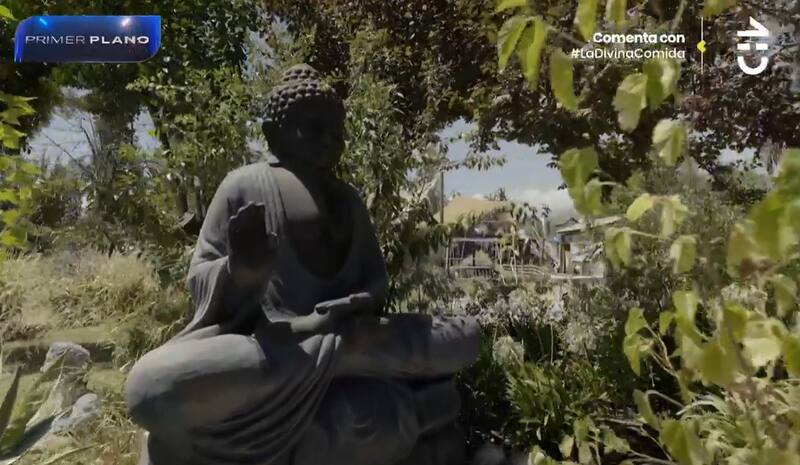 Un inmenso Buda engalana el jardín de Pedro Engel. Créditos: Captura CHV