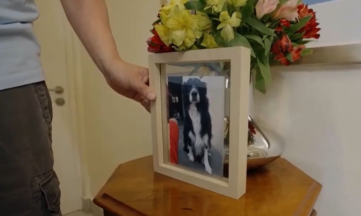Rodolfo Carter atesora un recuerdo de su mascota. Créditos: Captura CHV