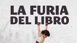 La Furia del Libro vuelve a Santiago en edición de verano: Fechas, ubicación y actividades