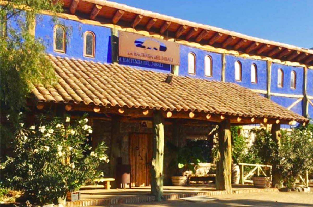 Panorama familiar a minutos de Santiago: el tenedor libre que ofrece acceso liberado al zoológico