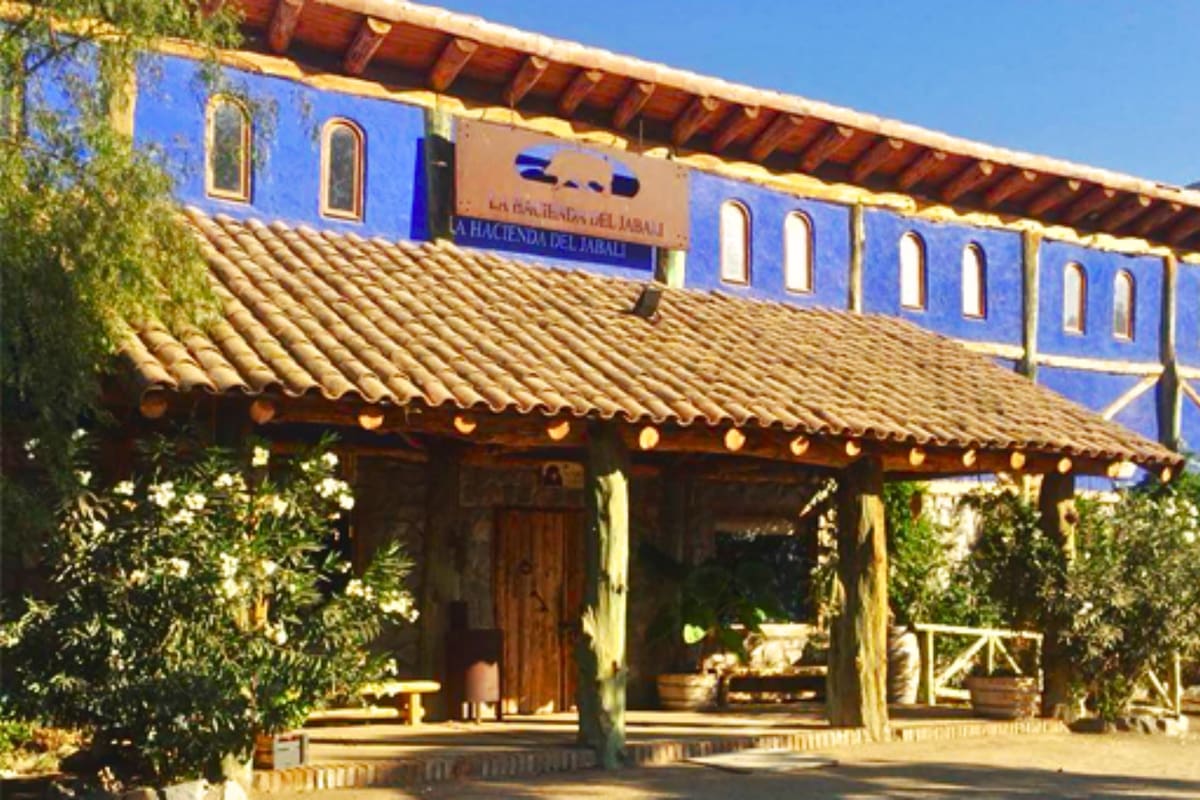 Una actividad que tiene de todo para el disfrute familiar cerca de la capital e ideal para ir en otoño. Foto: La Hacienda del Jabalí.