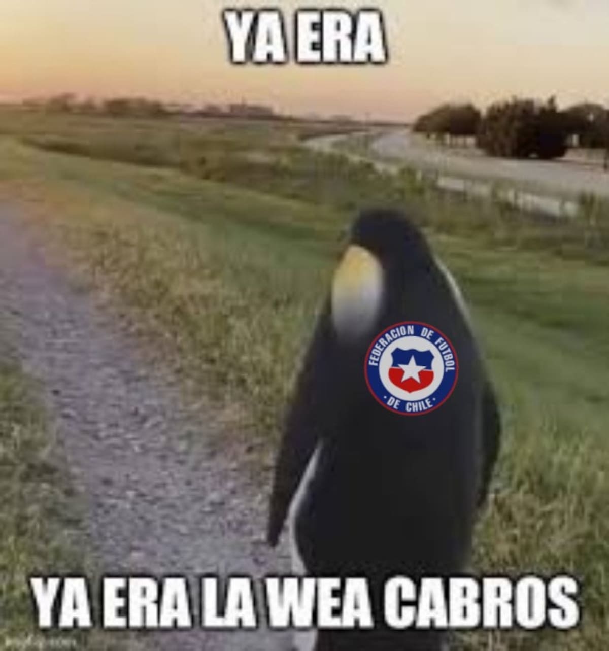 Los memes que salieron tras la derrota de La Roja ante Ecuador