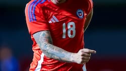 ¡Con un cóndor en la espalda! Filtran la próxima camiseta de La Roja para 2026