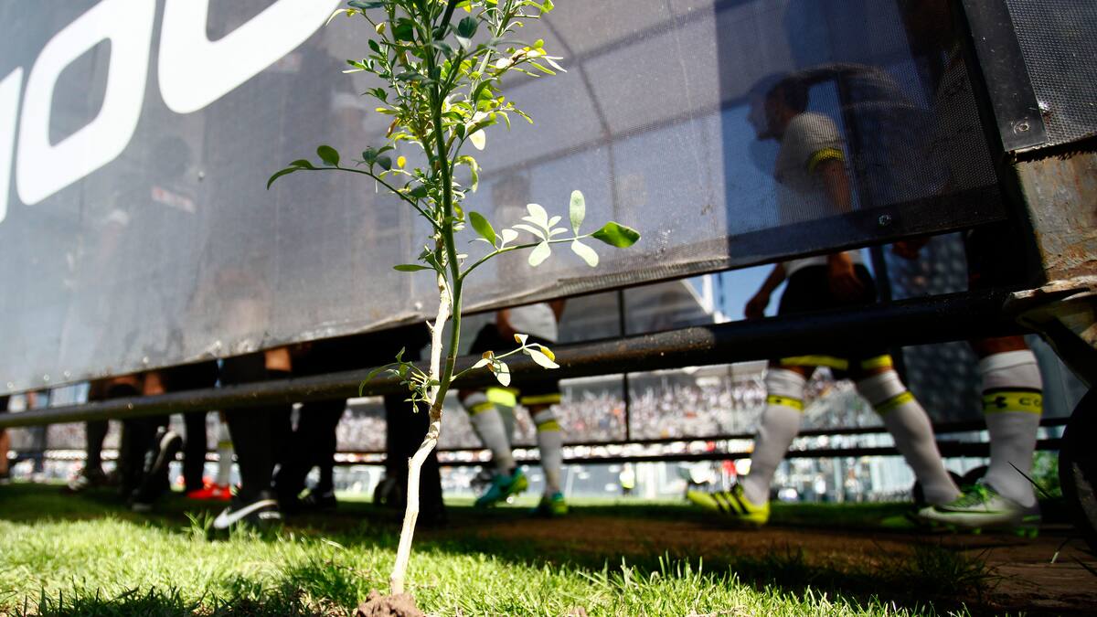 Desde el kiricocho hasta la ruda: las memorables cábalas del fútbol chileno