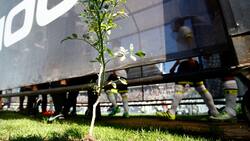 Desde el kiricocho hasta la ruda: las memorables cábalas del fútbol chileno