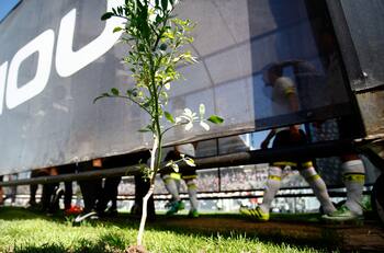 Desde el kiricocho hasta la ruda: las memorables cábalas del fútbol chileno