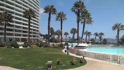 ¿Cuánto cuesta ir a La Serena desde Santiago? Precios de los pasajes, alojamientos y panoramas