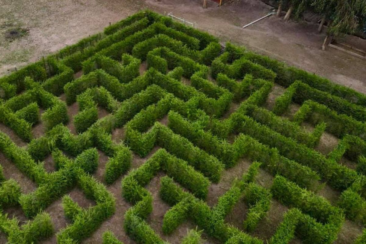 Tendrá un recorrido especial por Halloween.
Créditos: Página web del recinto.