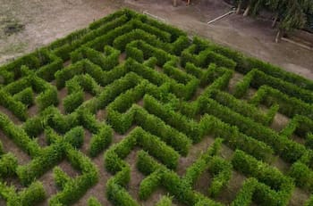 Un panorama de miedo a casi dos horas de Santiago: El laberinto más grande del país ofrece un tour especial en Halloween
