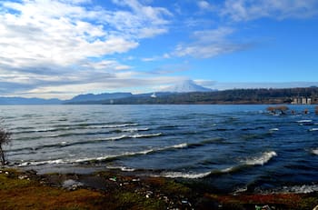 Aprueban un inédito plan de descontaminación en Chile: Es el primero en la historia e implicará más de $55 mil millones