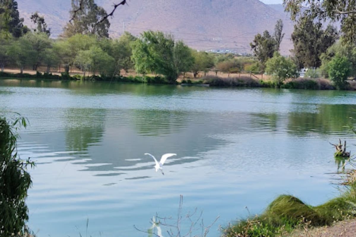 Este parque se ubica en la comuna de Pudahuel.