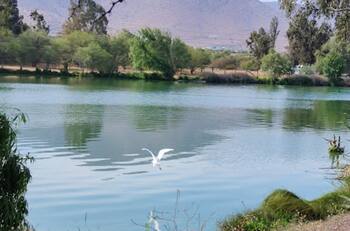 Sin salir de la RM: Este parque con laguna se ha vuelto un panorama imperdible en Santiago