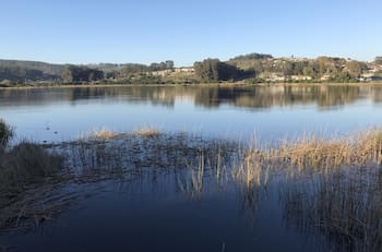 A menos de una hora y media de Santiago se esconde un santuario natural con una laguna perfecta para escapar del estrés