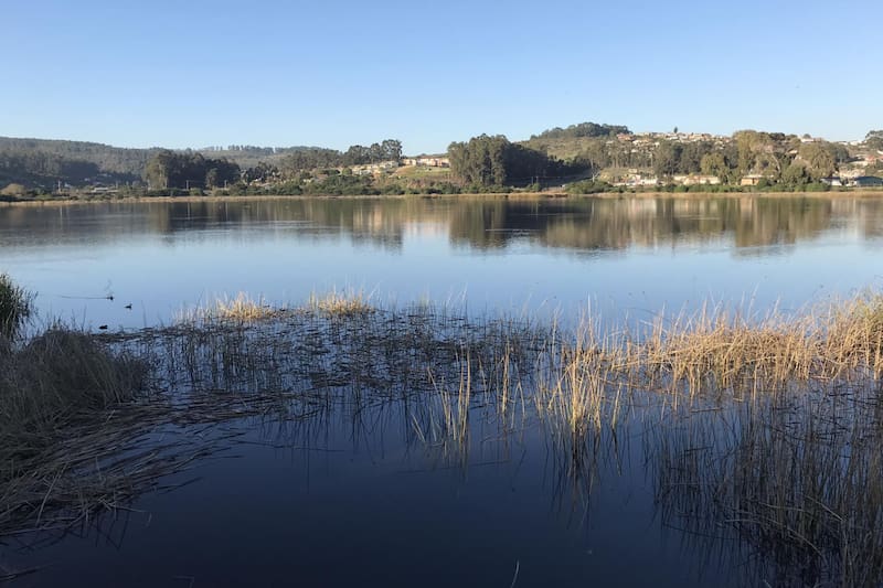 Descubre este santuario de la naturaleza oculto cerca de la Región Metropolitana. Créditos: Facebook.