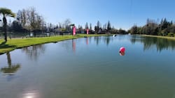 Sin salir de la RM: Esta laguna ubicada en San Bernardo es ideal para escapar del calor de Santiago