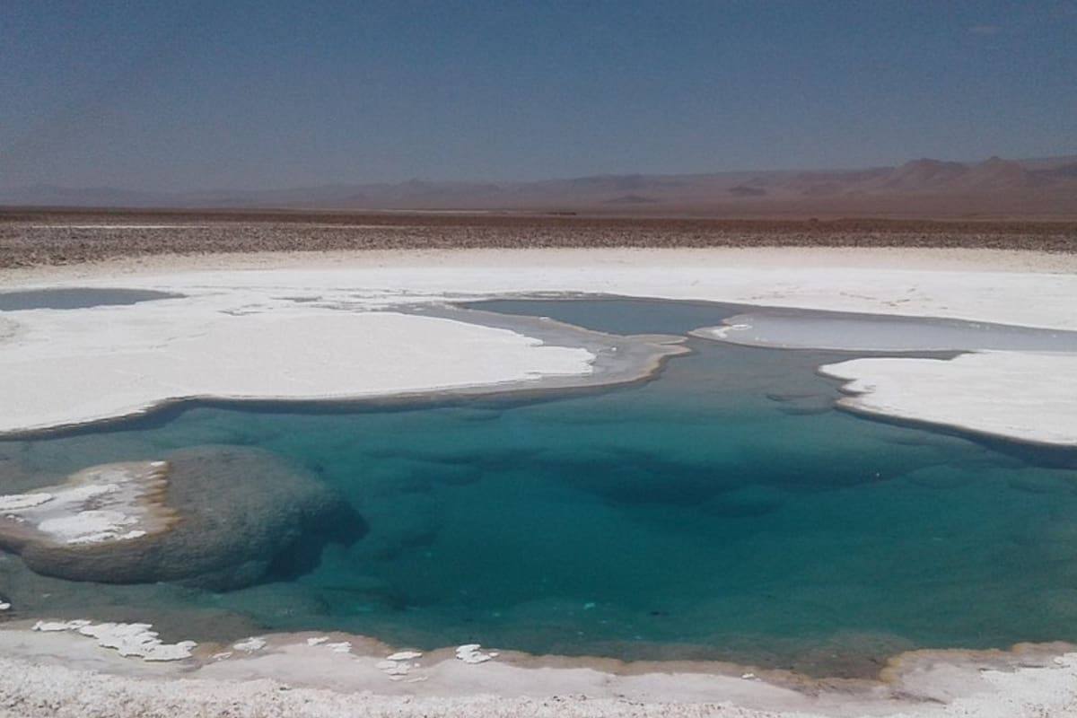 Son siete pozas de agua salada de color turquesa ubicadas a aproximadamente 60 km al suroeste de San Pedro de Atacama.
Foto: Tripadvisor