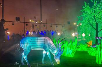 Lantern Festival: Revisa cuándo y en qué horario se realizará este festival de luces chinas en La Pintana