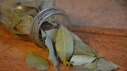 Atrae la abundancia en tu vida con hojas de laurel en tus zapatos