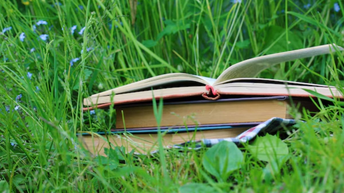 Lectura al aire libre en el Cerro San Cristóbal: Día, hora y lugar de este imperdible panorama gratuito en Santiago