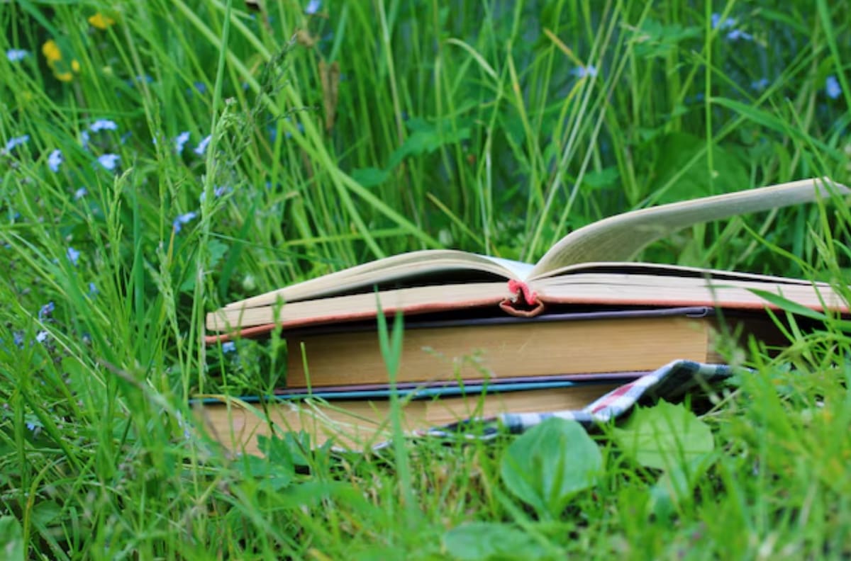 Lectura al aire libre en el Cerro San Cristóbal: Día, hora y lugar de este imperdible panorama gratuito en Santiago
