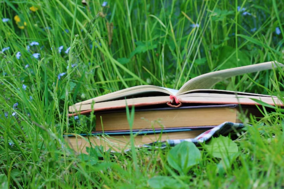 La iniciaitva es organizada por la Universidad de Chile y Parquemet. Foto referencial: Freepik.