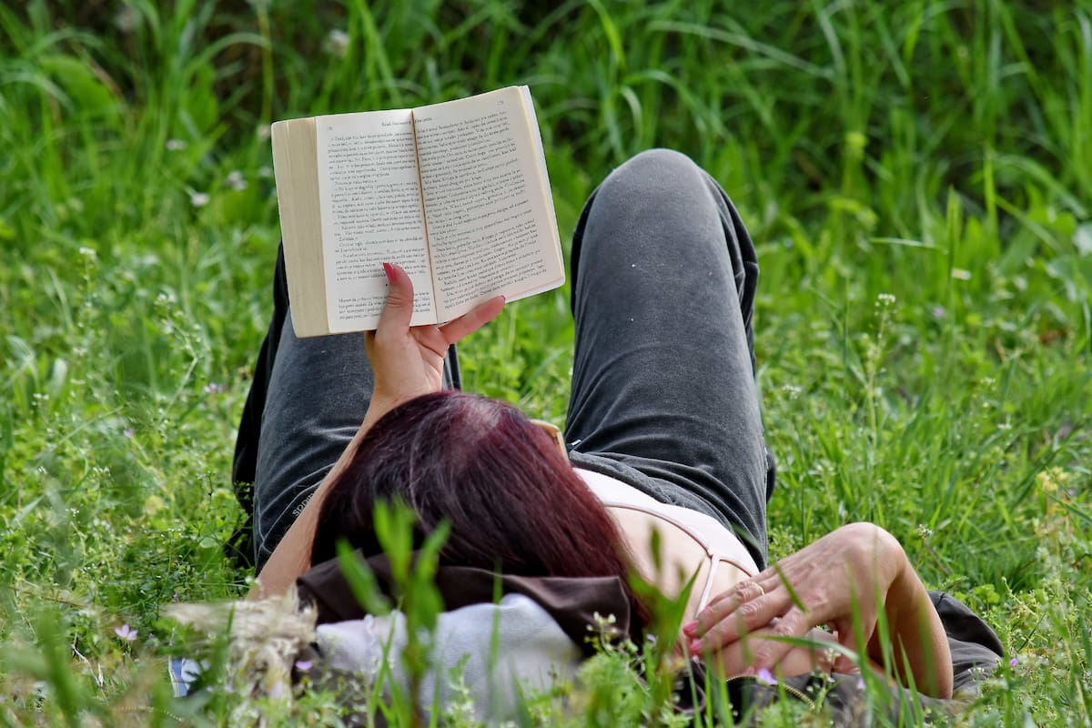 Este panorama cultural en el Parquemet es totalmente gratuito y abierto a todo público. Foto referencial: Pixnio.