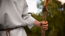 Legionarios de Cristo: Fundación presenta nueva demanda contra la congregación